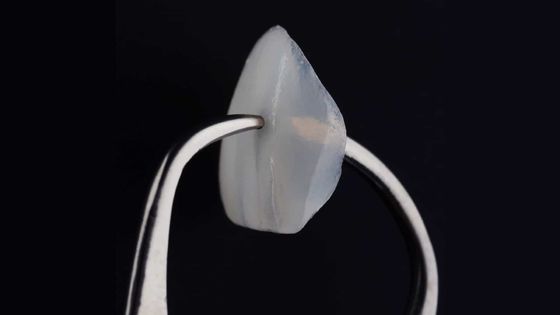 Trung Quốc VIVI DENTAI LABORATORY Chứng chỉ