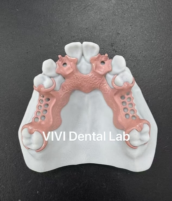Trung Quốc VIVI DENTAI LABORATORY Chứng chỉ