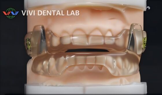 Trung Quốc VIVI DENTAI LABORATORY Chứng chỉ